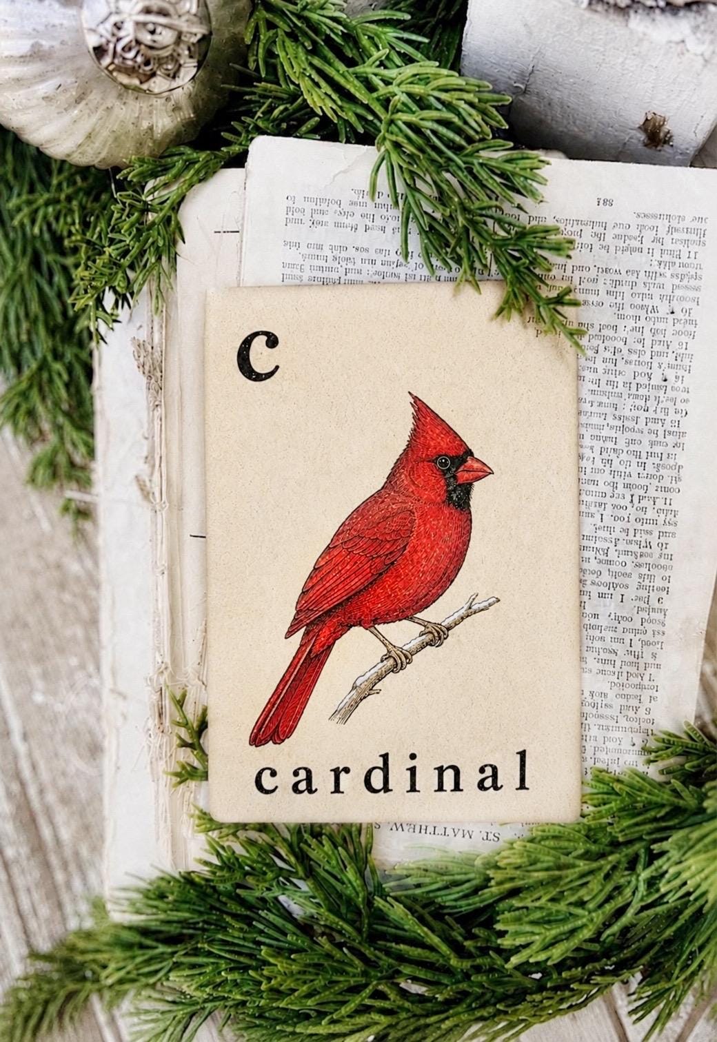 CARDINAL Flash Card Vintage Winter Red Bird Christmas Farmhouse Decor Party