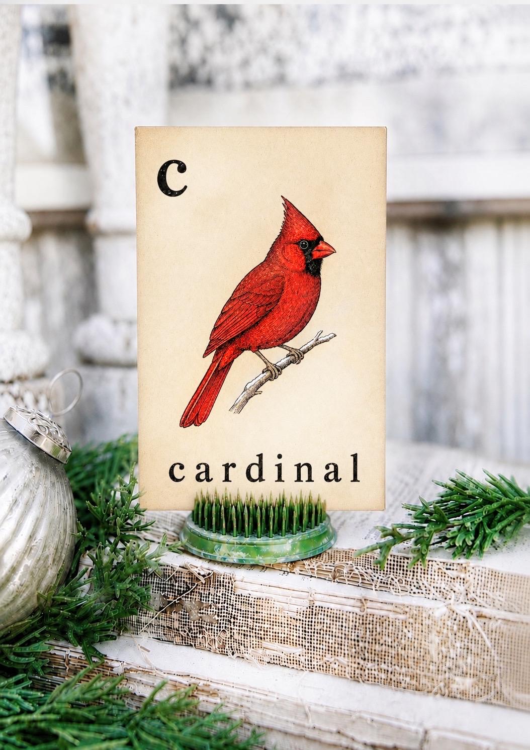 CARDINAL Flash Card Vintage Winter Red Bird Christmas Farmhouse Decor Party