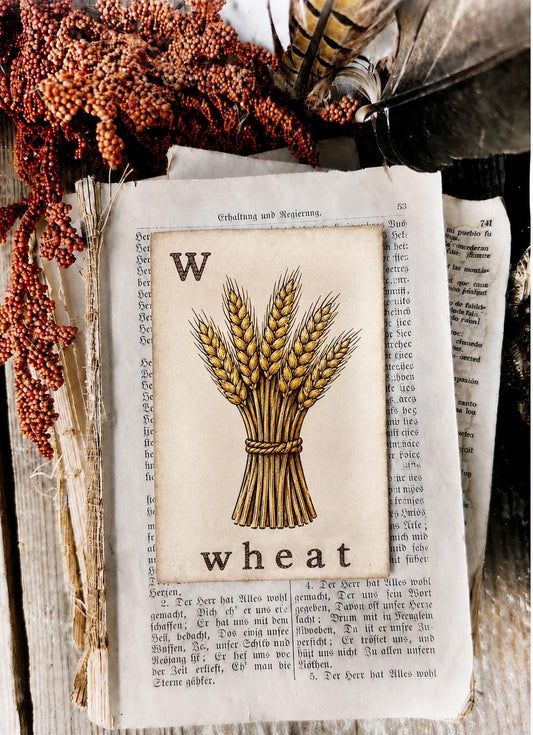 WHEAT Flash Card Vintage Farmhouse Fall Halloween Autumn Decor Party