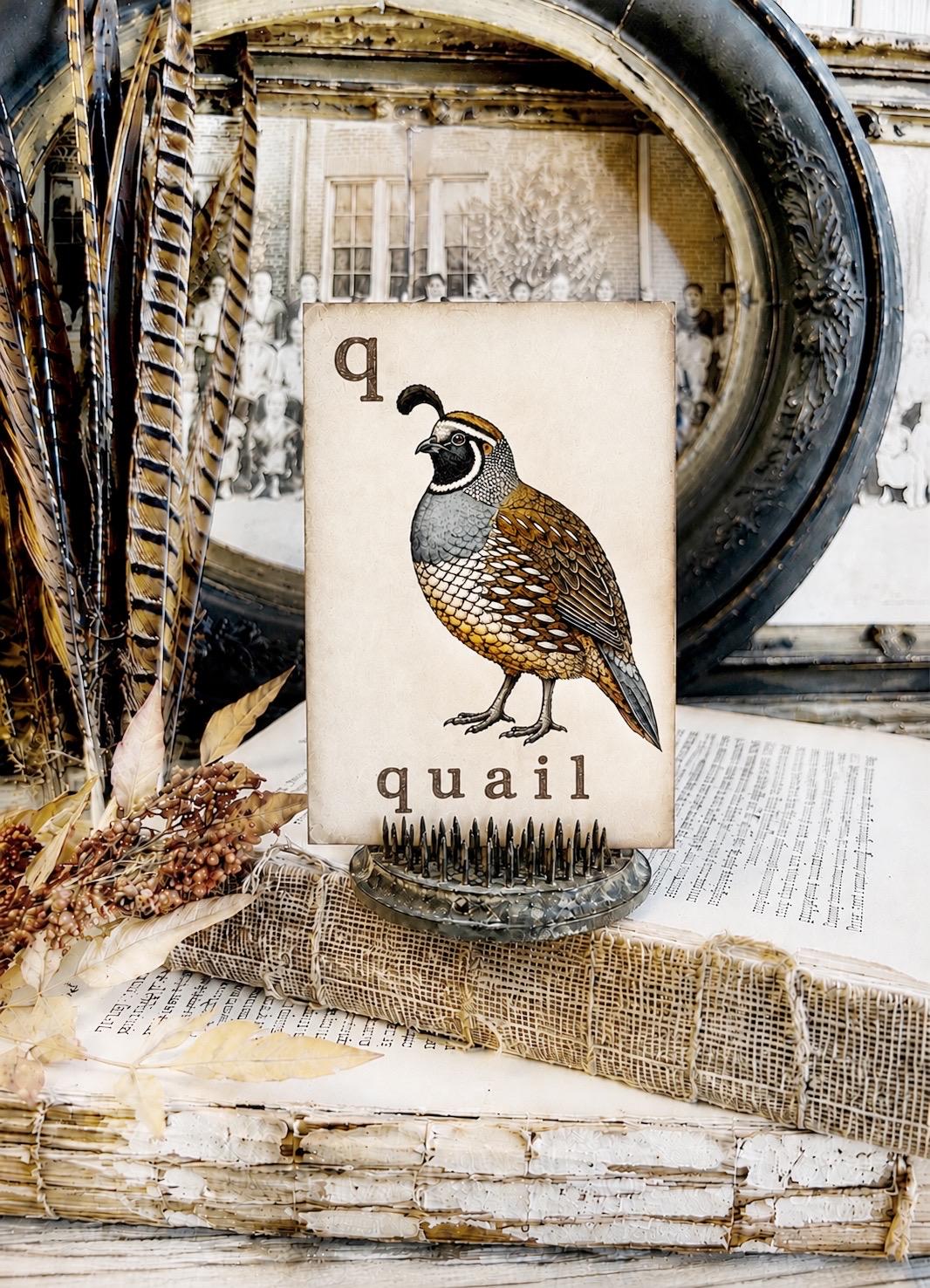 QUAIL Flash Card Vintage Farmhouse Fall Autumn Thanksgiving Decor Party