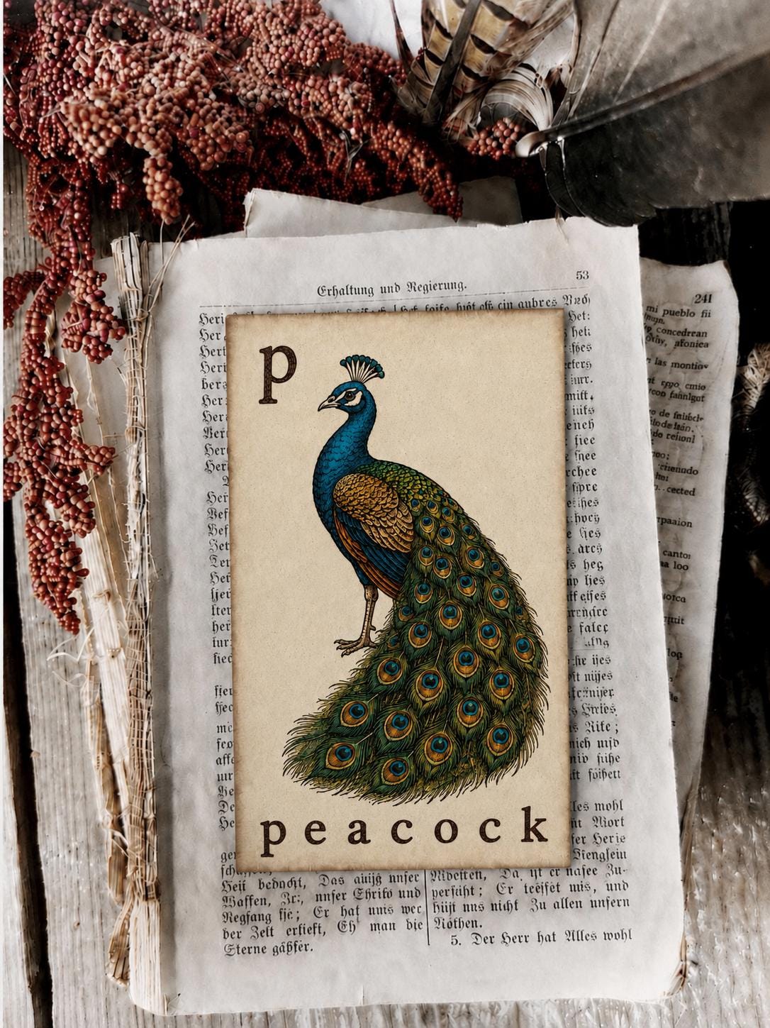 PEACOCK Flash Card Vintage Farmhouse Fall Thanksgiving Autumn Decor Party