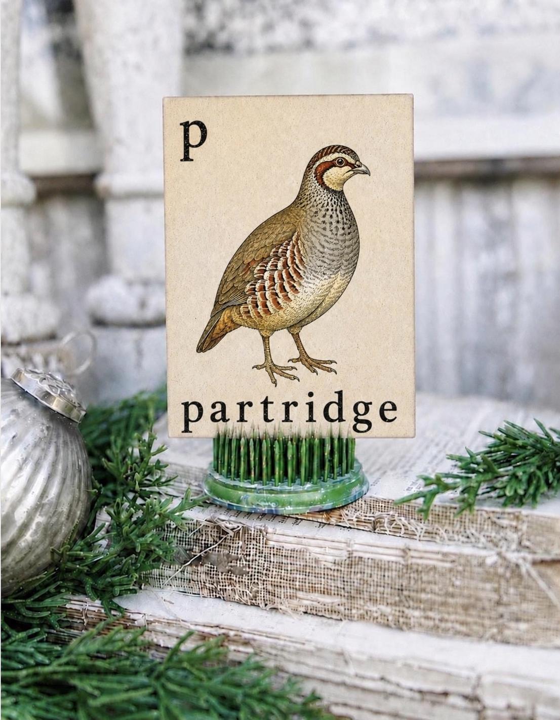 PARTRIDGE Flash Card Vintage Christmas Sign Farmhouse Decor Party