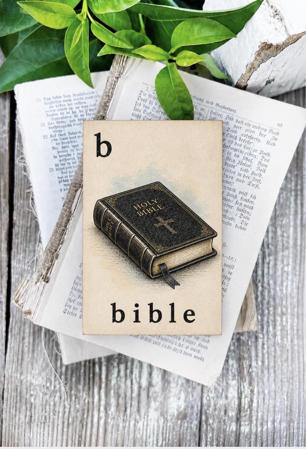 BIBLE Flash Card Vintage Christian Church Book Farmhouse Decor Party