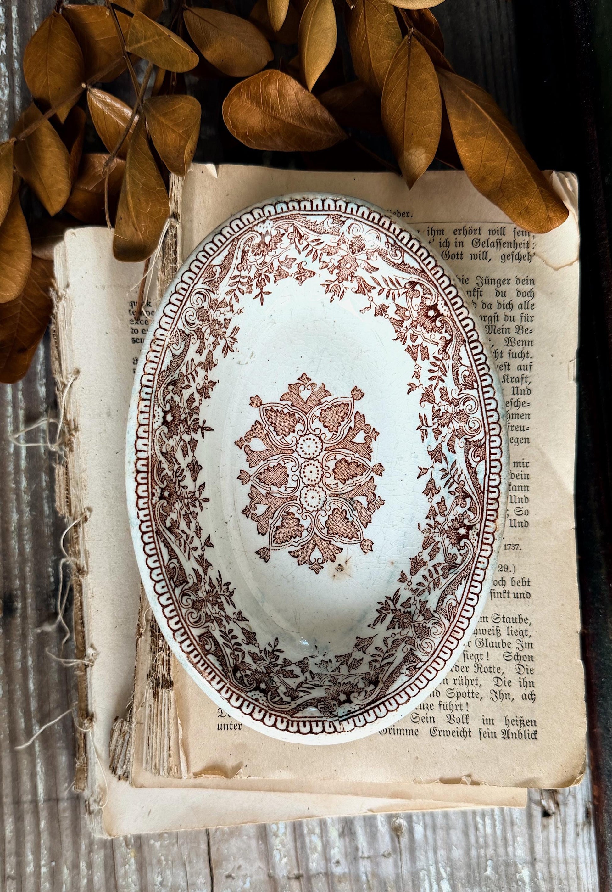 Antique T&R Boote Brown Transferware Soap Dish Ironstone Oval Staffordshire