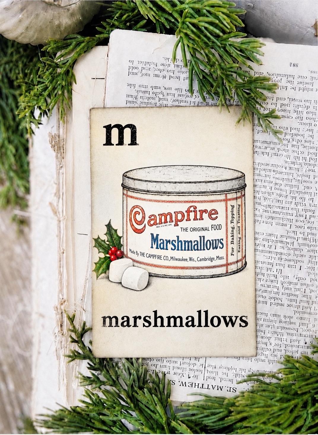 MARSHMALLOWS Campfire Flash Card Vintage Christmas Farmhouse Decor Party