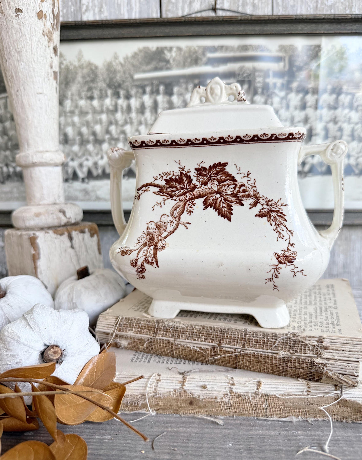 Antique Ironstone Sugar Bowl Jar Biscuit BROWN Transferware BIRD Farmhouse Decor