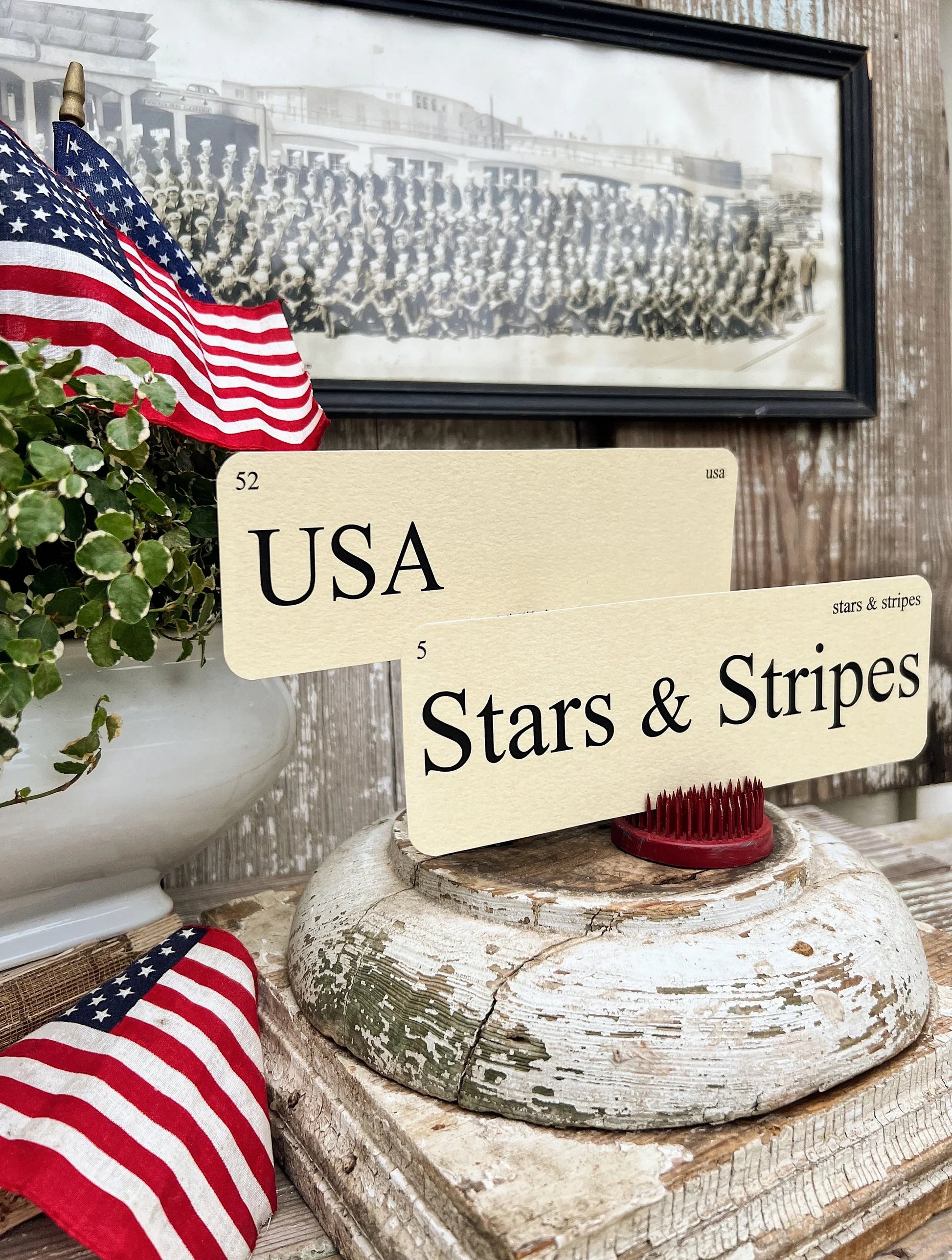 USA Flash Cards
