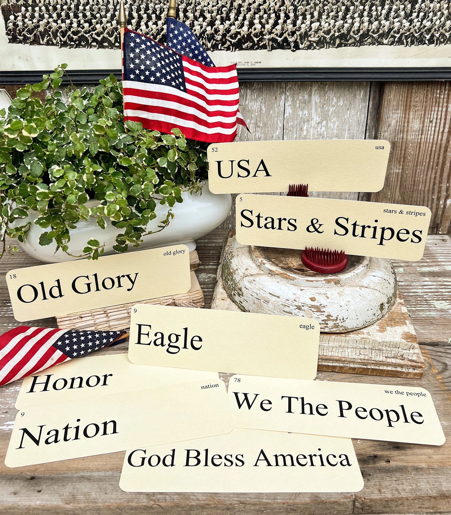 USA Flash Cards