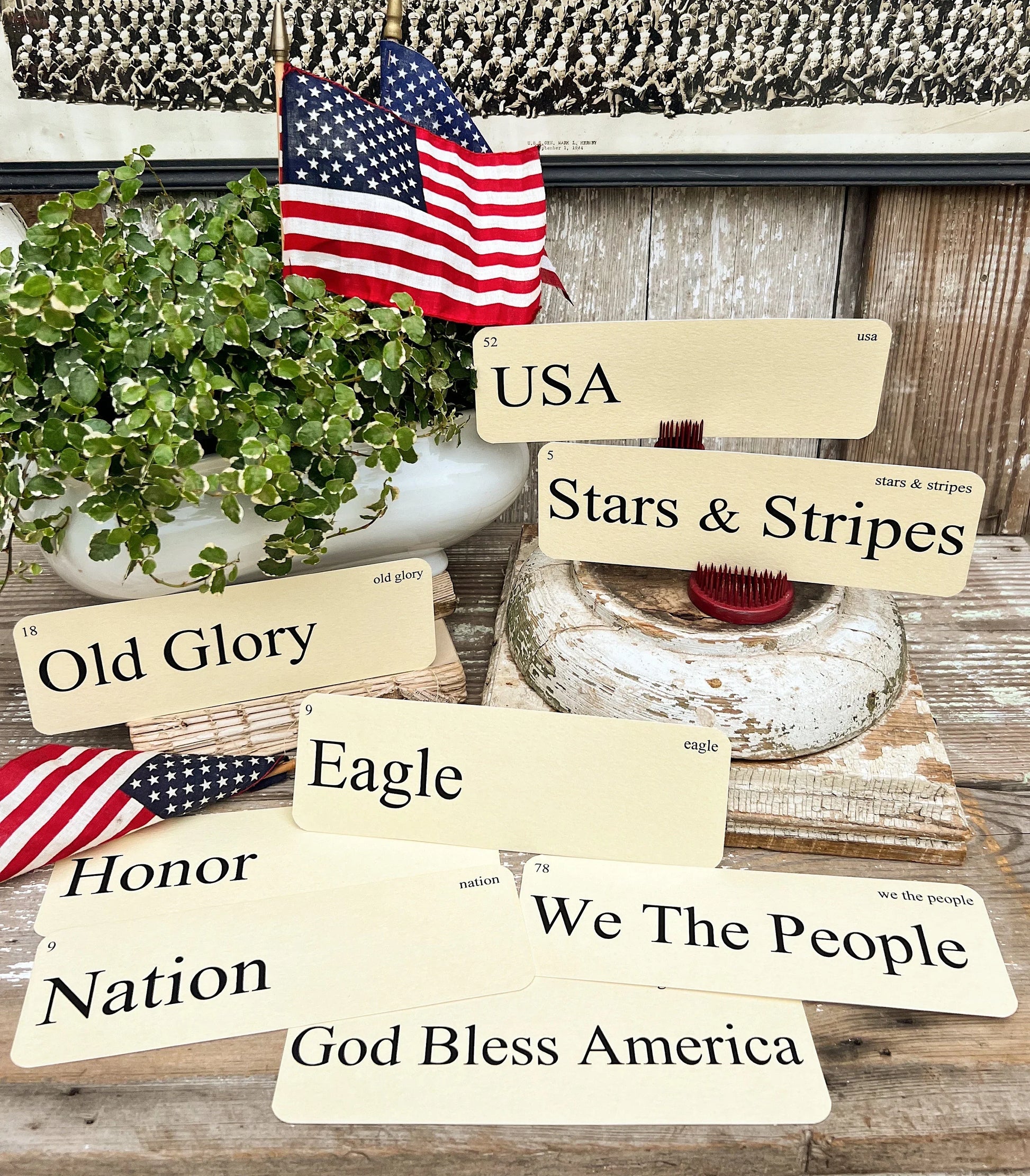 USA Flash Cards