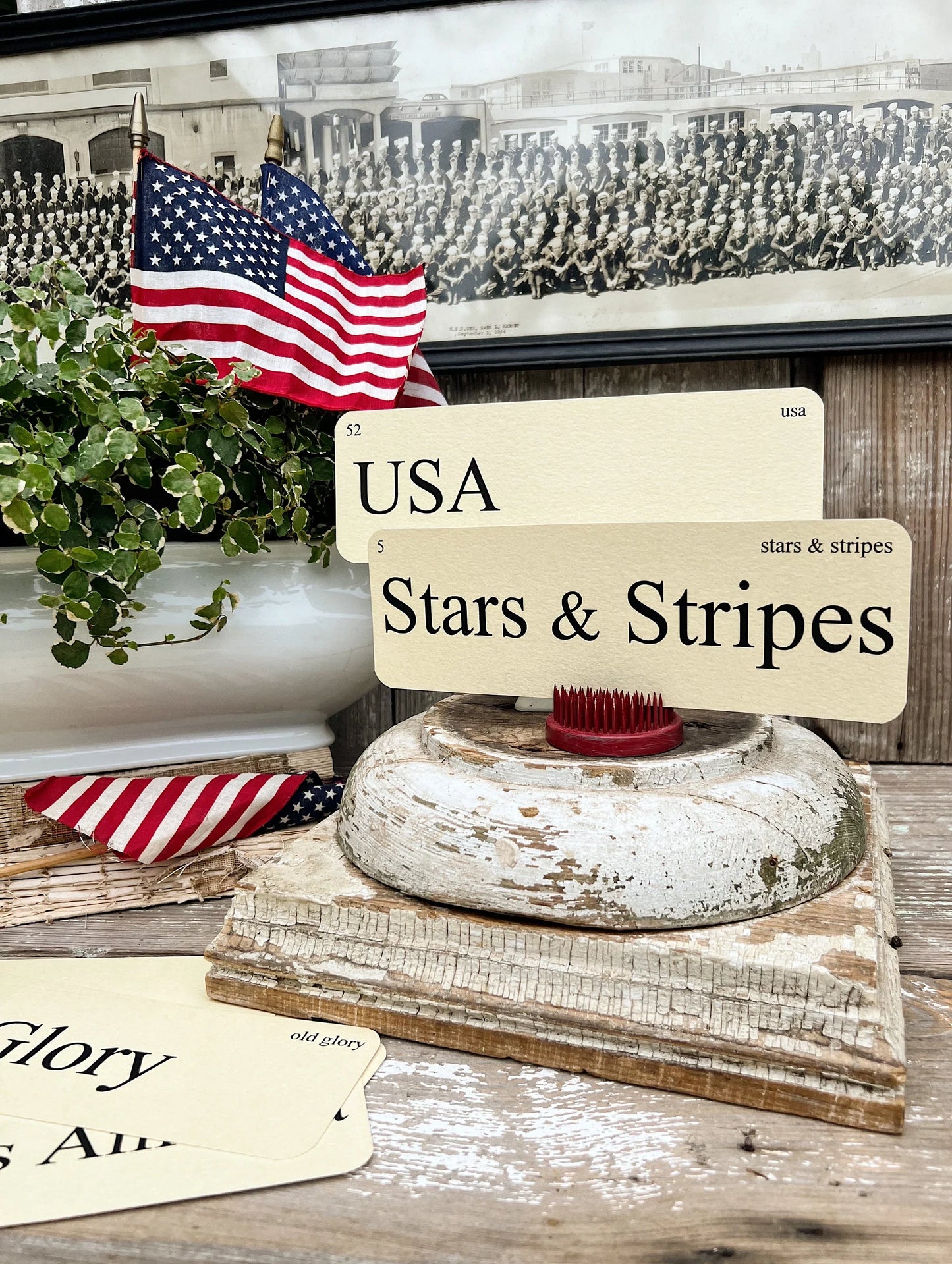USA Flash Cards
