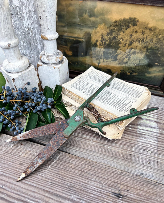 Vintage Garden Hand Tool SHEARS Clippers
